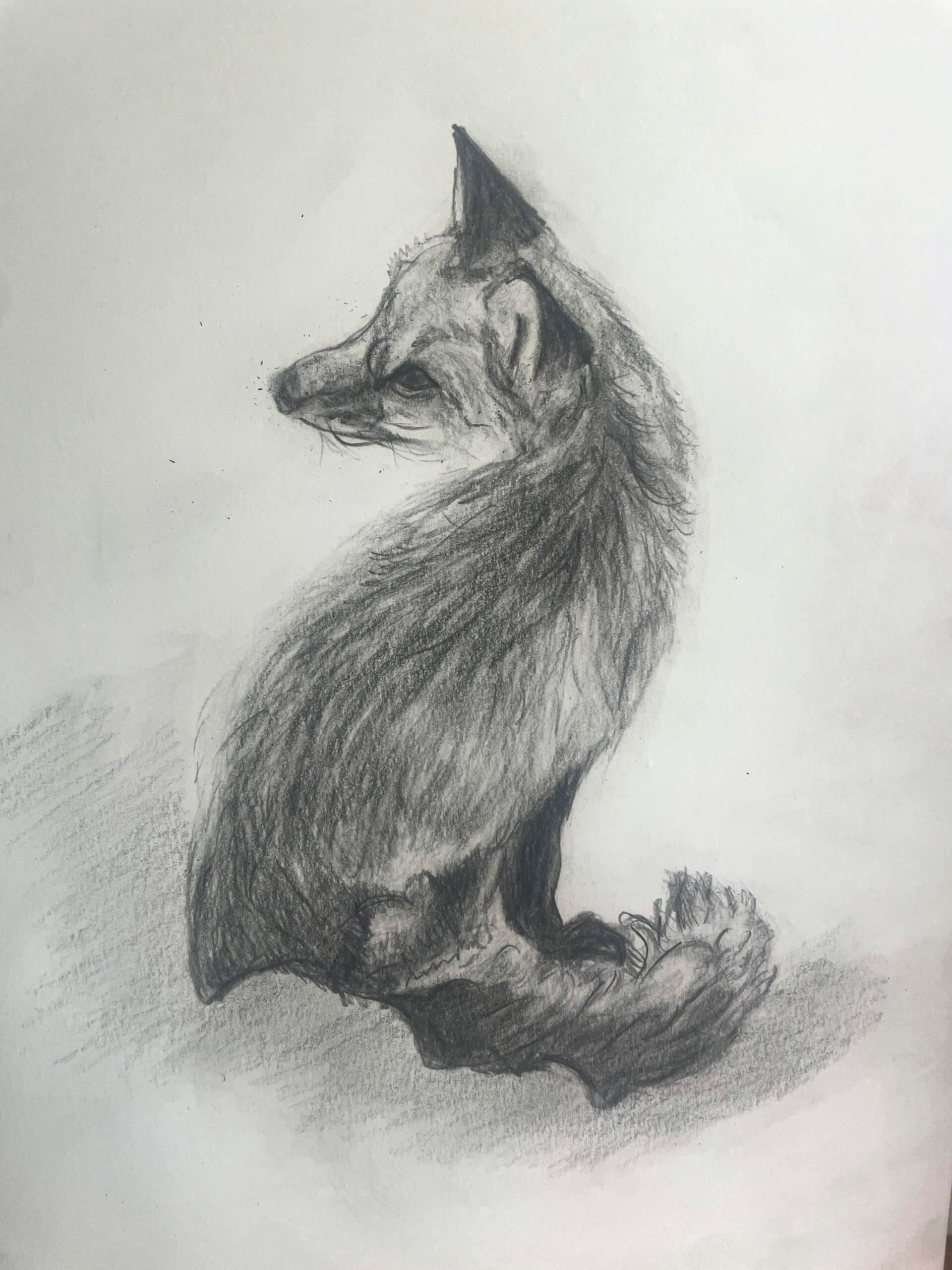 Dessin réalisé par un membre de la communauté du Trait Parfait (9)