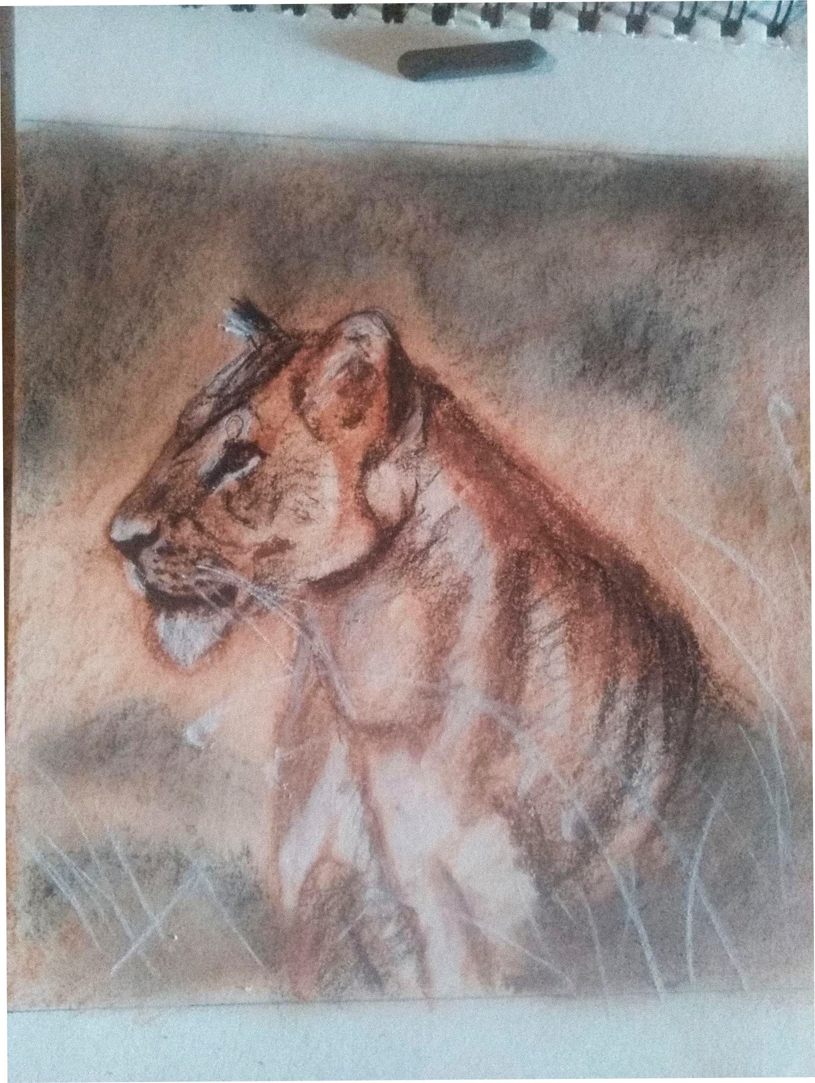 Dessin réalisé par un membre de la communauté du Trait Parfait (10)