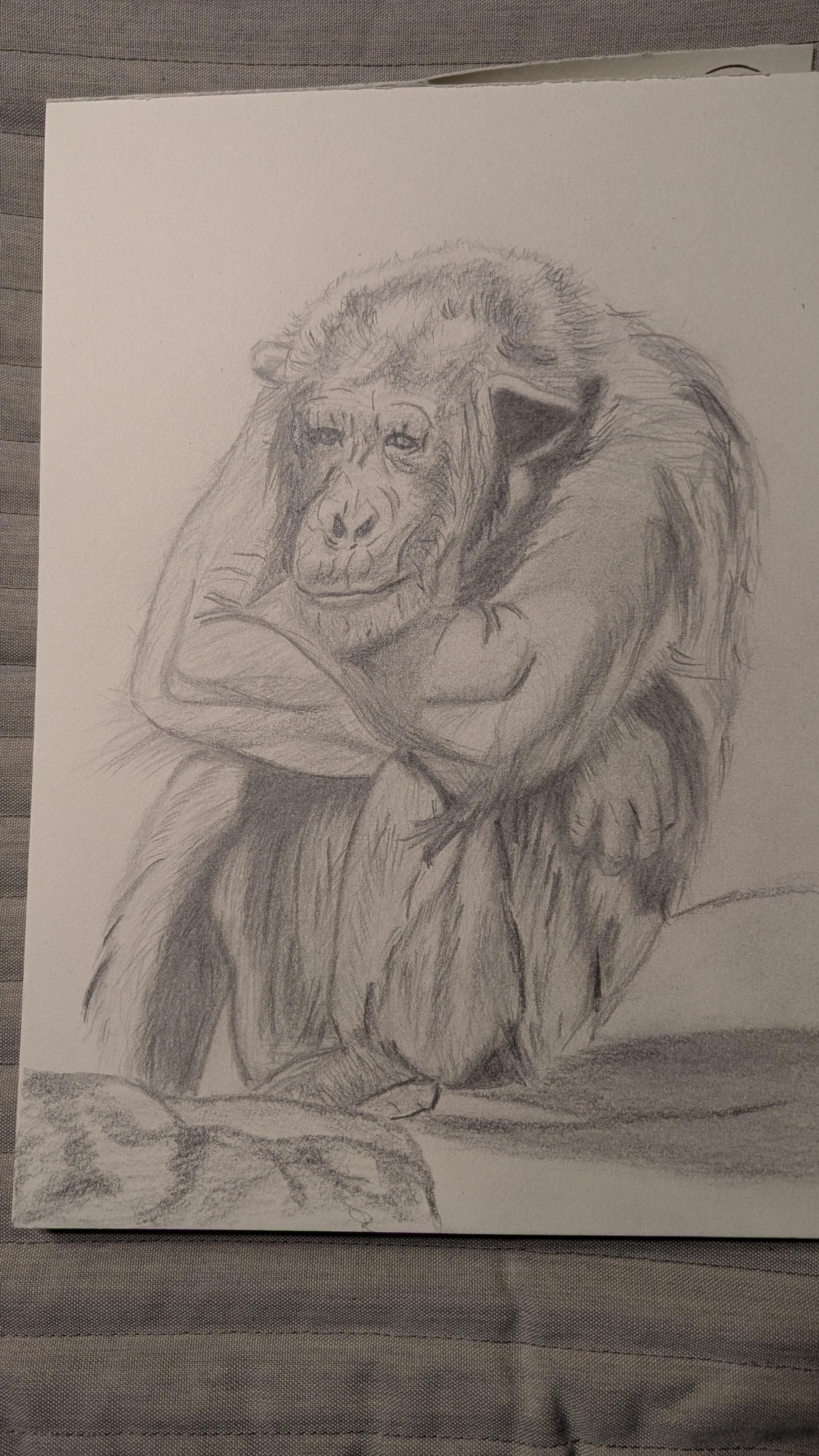 Dessin réalisé par un membre de la communauté du Trait Parfait (11)
