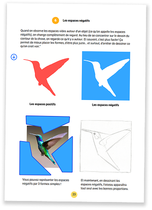 Aperçu : Les proportions